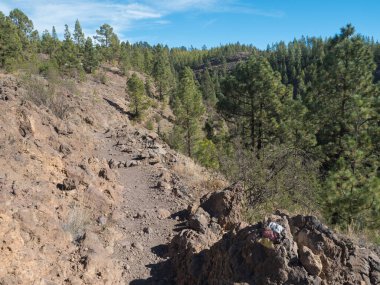 Volkanik peyzaj ve yemyeşil çam ağacı ormanlarındaki bu patika, İspanya 'nın Tenerife Kanarya Adaları' ndaki Teide Ulusal Parkı 'ndaki Paisaje Ay volkanik kaya oluşumuna giden yol olarak işaretlenmiştir..