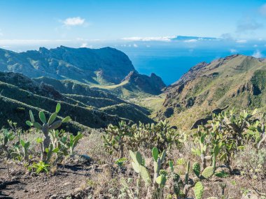 Dramatic lush green picturesque valley. Landscape with sharp rock formation, hills and cliffs seen from hiking trail at Park rural de teno, Tenerife, Canary Islands, Spain. sunny winter day, blue sky.