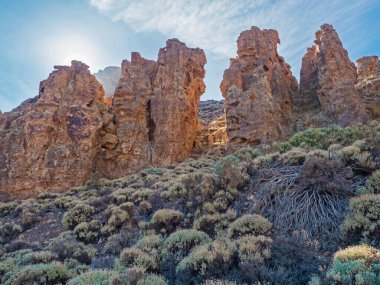 Bizarre limestone rock formations and dry flowers and vegetation at hiking trail to peak Alto de Guajara. Colorful dry volcanic scenic landscape at national park of Teide, Tenerife, Canary Islands