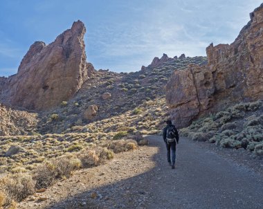 Toprak yolda yürüyen bir adam, Alto de Guajara tepesine giden bir patika. Tide, Tenerife, Kanarya Adaları ulusal parkındaki renkli volkanik manzarada kireçtaşı kaya oluşumları, lav ve kuru bitki örtüsü