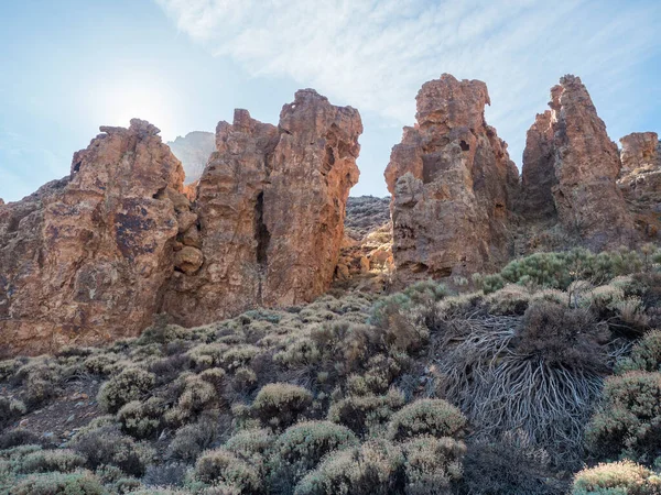 Bizarre limestone rock formations and dry flowers and vegetation at hiking trail to peak Alto de Guajara. Colorful dry volcanic scenic landscape at national park of Teide, Tenerife, Canary Islands