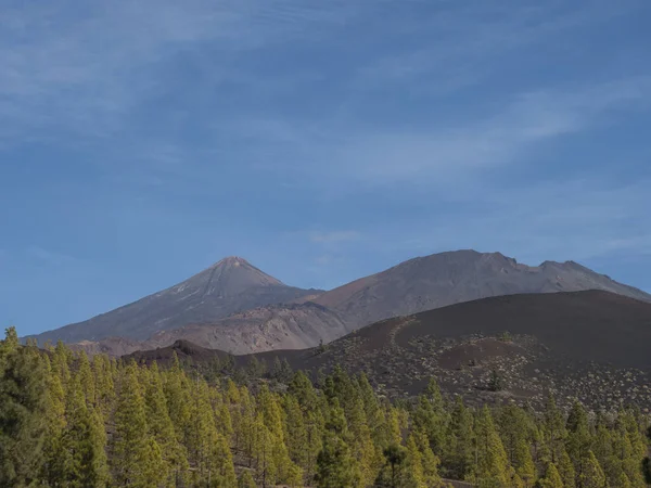 Горы Лавовые Поля Частично Покрыты Сосновым Лесом Видом Вулкан Пико — стоковое фото