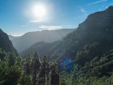 La Gomera adasının merkezindeki yemyeşil manzaranın görüntüsü. Ulusal park Garajonay volkanik kayalar, defne ormanı ve çam ağaçları ile. Kanarya Adaları, İspanya. Mavi gökyüzü arkaplanı, mercek parlaması.