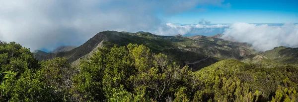 Baracan dağının panoramik manzarası. Yeşil orman, tepeler ve vadi teraslı tarlalar ve Las Portelas köyü Parkı kırsal kesim de Teno, Tenerife, Kanarya Adaları, İspanya. Güneşli gün, mavi gökyüzü.