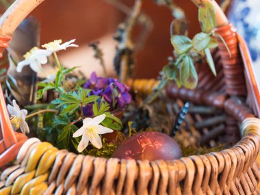 Kahverengi soğan renkli paskalya yumurtaları, desenli bitki izleri, yosun, tüy, ahşap şakayık ve menekşe çiçekli hasır sepet. Mutlu Paskalyalar. Seçici odak, boşluğu kopyala.