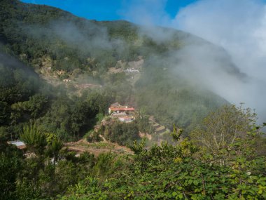 Garajonay Ulusal Parkı 'nın sisli, yeşil tepesi olan küçük El Cedro köyü manzaralı. La Gomera 'da yürüyüş yolu, Kanarya Adaları, İspanya