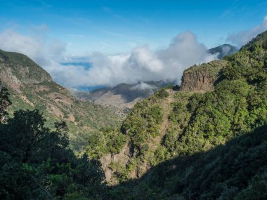 Hermigua 'ya giden yosunlu ağaç vadisinin manzarası. Garajonay Ulusal Parkı 'nın sisli yeşil tepesi Laurisilva ormanında. La Gomera 'da yürüyüş yolu, Kanarya Adaları, İspanya