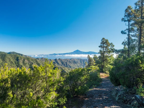 Garajonay Ulusal Parkı Nda Tenerife Adası Teide Mirador Roque Agando — Stok fotoğraf