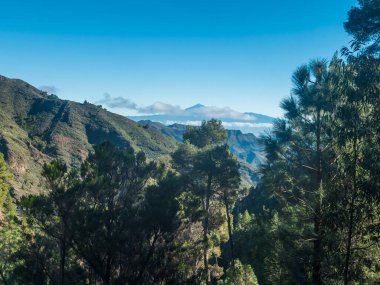 La Gomera 'daki Garajonay Milli Parkı' nın yemyeşil manzarasına bakın. Arka planda Tenerife adası volkan Pico de Teide ile birlikte. Kanarya Adaları, İspanya. Mavi gökyüzü, boşluğu kopyala