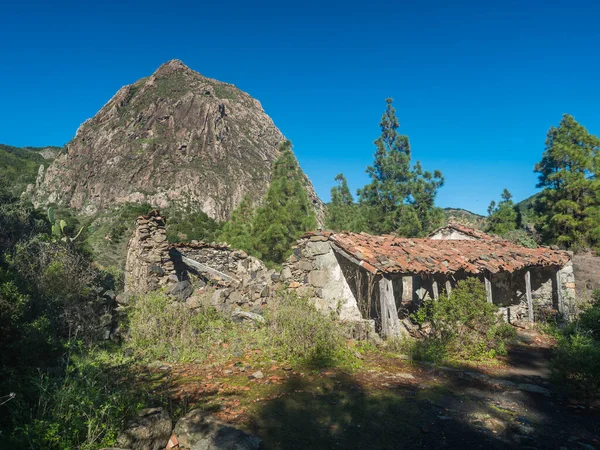 西班牙La Gomera Garajonay国家公园 Roque Ojilain 沿着通往La Laja的远足小径 以Los Roques为背景的旧石屋Degollada Del — 图库照片