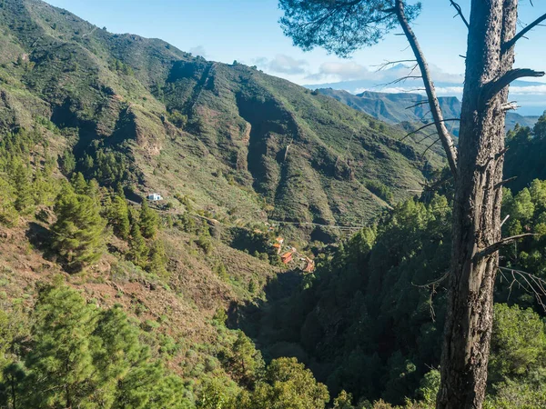 La Gomera 'da La Laja köyü ve Tenerife adası ile birlikte Volkan Pico de Teide adasının yemyeşil Garajonay manzarasına bakın. Kanarya Adaları, İspanya. Mavi gökyüzü, boşluğu kopyala