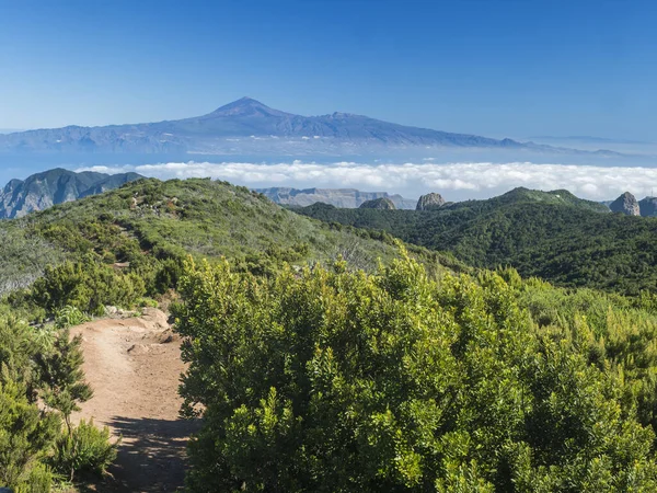 Garajonay Ulusal Parkı Nın Orman Tepeleri Üzerindeki Tenerife Adası Pico — Stok fotoğraf