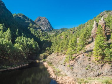 Arka planda Los Roques, Roque de Ojila, Garajonay Ulusal Parkı, La Gomera, İspanya 'nın küçük bir köyü olan La Laja' daki su deposu, baraj ve çam ormanı..