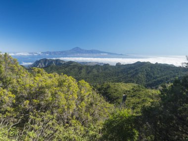 Garajonay Ulusal Parkı 'nın orman ve tepeleri üzerindeki Tenerife adası ve Pico del Teide manzarası Garajonay Dağı' nın zirvesinden görülmektedir. Beyaz bulutlar ve mavi gökyüzü. La Gomera, Kanarya Adaları