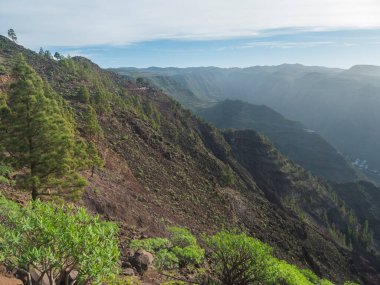 Vadideki La Merica dağının tepesinde, virajlı yollar ve sisli tepeler. Camino La Merica yürüyüş parkuru. Valle Gran Rey, La Gomera, Kanarya Adaları. Arkaplan ışığı, boşluğu kopyala