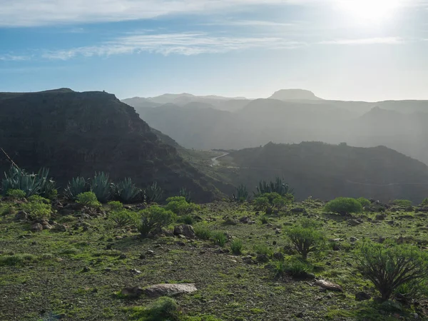 Vista Desde Meseta Verde Cima Montaña Merica Con Cactus Agave — Foto de Stock