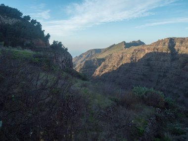 Palmiye ağaçları, kaktüsleri ve La Merica dağının keskin uçurumları olan yeşil vadi manzarası. Camino La Merica yürüyüş parkurunda görülmüş. Arure, Valle Gran Rey, La Gomera, Kanarya Adaları, İspanya