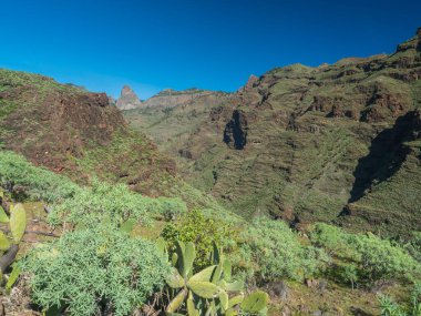 Barranco de Guarimiar Vadisi 'ndeki yürüyüş parkurunda. Yeşil dağ kanyonu yamaçlarında palmiye ağaçları ve sulu bitkiler var. La Gomera, Kanarya Adaları, İspanya, Avrupa