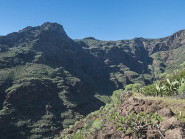Barranco de Guarimiar Vadisi 'nde tehlikeli yürüyüş yolu. Yeşil dağ kanyonu yamaçlarında palmiye ağaçları ve sulu bitkiler var. La Gomera, Kanarya Adaları, İspanya, Avrupa