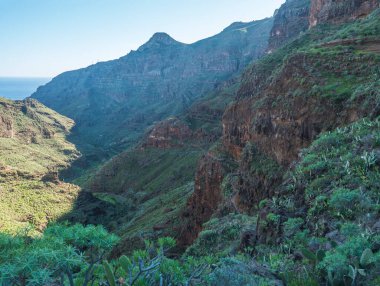 Barranco de Guarimiar Vadisi 'ndeki yürüyüş parkurunda. Yeşil dağ kanyonu yamaçlarında palmiye ağaçları ve sulu bitkiler var. La Gomera, Kanarya Adaları, İspanya, Avrupa