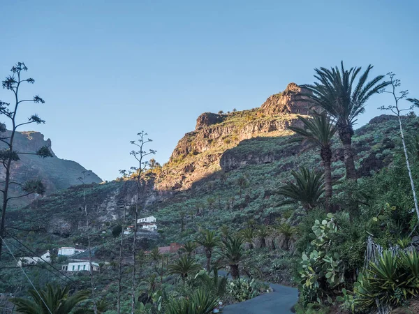 ガーリミア村のウィンドウロード バランコ ガイミア ゴージを通るハイキング トレイル 緑の山の渓谷はヤシの木と簡素な植生で斜面に立っています Gomera カナリア諸島 スペイン — ストック写真