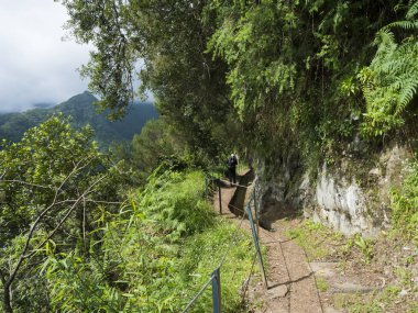 Yeşil dağlı vadi manzarası ve Levada Do Rei PR18 yürüyüşünden, Sao Jorge 'den gelen tropikal bitkiler Ribeiro Bonito, Madeira, Portekiz' de sona eriyor..