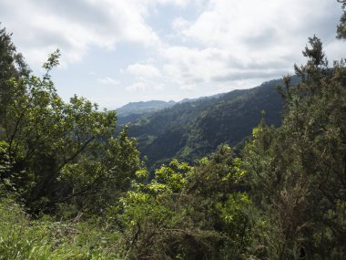 Yeşil dağlı vadi manzarası ve Levada Do Rei PR18 yürüyüşünden, Sao Jorge 'den gelen tropikal bitkiler Ribeiro Bonito, Madeira, Portekiz' de sona eriyor..