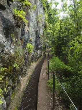 Levada manzarası, su sulama kanalı ve Levada Do Rei PR18 yürüyüşünden tropikal bitkiler, Sao Jorge 'den Ribeiro Bonito, Madeira, Portekiz' de sona eriyor..