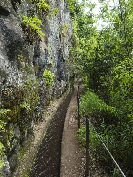 Vista Levada Canal Irrigação Aquática Plantas Tropicais Caminhada Levada Rei — Fotografia de Stock