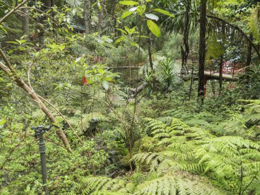 Funchal, Madeira, Portekiz, 19 Mayıs 2022: Monte sarayı tropikal bahçesi manzarası. Tepedeki botanik bahçesi Funchal şehrinin üzerinde çiçekler, ağaçlar, heykeller ve mimariyle.