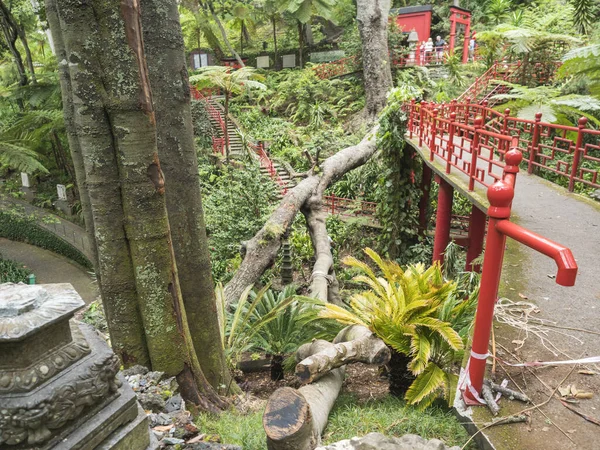 stock image Funchal, Madeira, Portugal, May 19, 2022: View of Monte palace tropical garden. Botanical garden on top of the hill Monte above Funchal city with flowers, trees, statues and architecture.