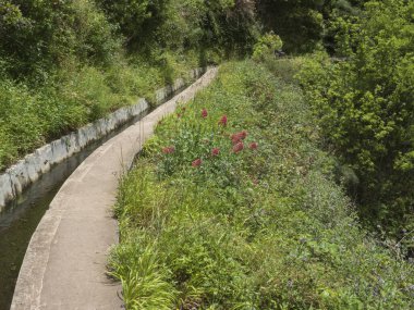 Levada manzarası, su sulama kanalı ve yürüyüş yolu Levada do Moinho 'dan Levada Nova Şelalesi' ne kadar tropikal bitkiler. Madeira, Portekiz.