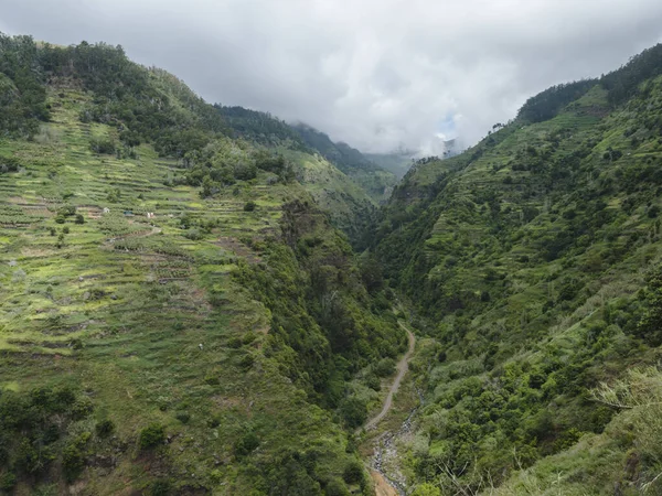 Yeşil dağları ve tropikal bitkileri olan vadi manzarası yürüyüş patikasından Levada do Moinho 'dan Levada Nova Şelalesi' ne kadar. Madeira, Portekiz.