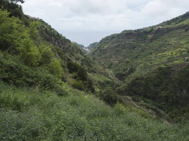 Yeşil dağları ve tropikal bitkileri olan vadi manzarası, Levada do moinho to levada nova şelalesi. Madeira, Portekiz.
