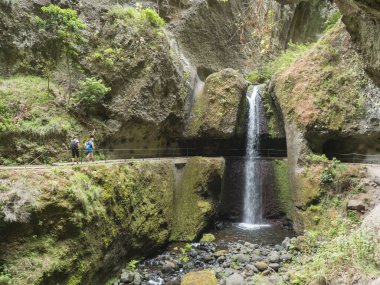 Levada 'dan geçen şelalenin, su sulama kanalının ve Levada do Moinho' dan Levada Nova Şelalesi 'ne giden tropikal bitkilerin manzarası. Madeira, Portekiz.