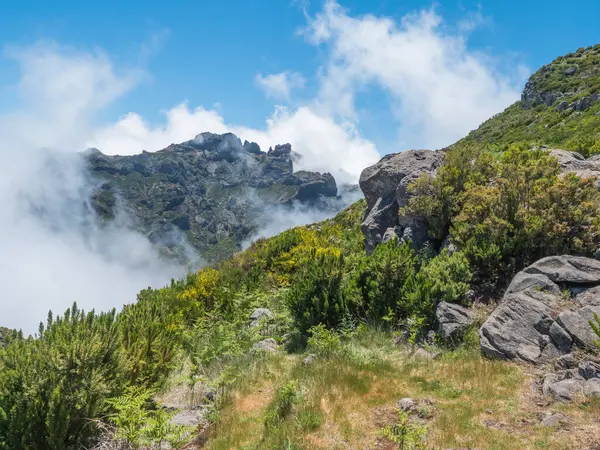 Güzel dağ manzarası. Portekiz, Madeira, dağların manzarası ve Arieiro tepesi yakınlarındaki Park PR1.2 Achada do Teixeira - Madeira adasının en yüksek noktası..