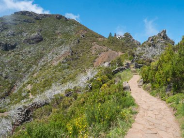 Achada do Teixeira 'dan Pico Ruivo dağına kadar, Portekiz' in Madeira şehrinin en yüksek zirvesi olan kaldırımlı patikada yürüyen turist yürüyüşçüleri, PR1.2 yürüyüş parkurları.