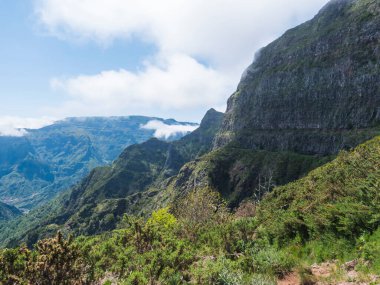 Yeşil tepelerin manzarası, mavi gökyüzündeki bulutların içindeki dağ manzarası. Portekiz, Madeira 'nın en yüksek tepelerinden biri olan Pico Grande' ye yürüyüş parkurundaki yemyeşil bitki örtüsü..