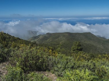 View of lush green vegetation, hills and atlantic ocean from hiking trail around Cruz de Gala peak, Teno mountain range, Tenerife, Canary Islands, Spain, Europe clipart