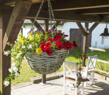 Beyaz hasır sepeti kapat, çiçek saksısı çeşitli renklerde çiçek açan çiçekler ahşap pergola ya da altan ağacından sarkan