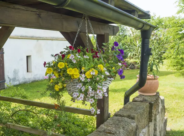 stock image Close up white wicker basket, flower pot with various colorful blooming flowers hanging from wooden roofed pergola or altan