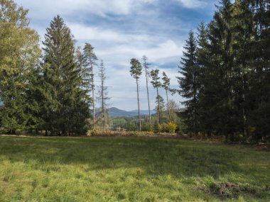 Sonbahar renkli ormanları, ağaçları ve tepeleri olan bir çayır, mavi gökyüzü. Luzicke Hory Lusatian Dağları 'ndaki manzara, Çek Cumhuriyeti