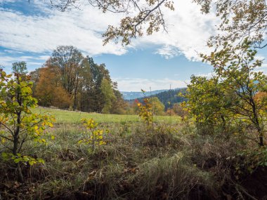 Sonbahar renkli ormanları, ağaçları ve tepeleri olan bir çayır, mavi gökyüzü. Luzicke Hory Lusatian Dağları 'ndaki manzara, Çek Cumhuriyeti