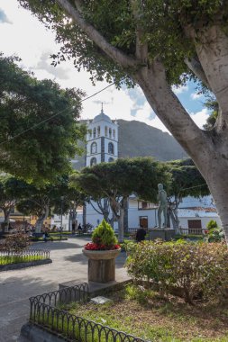 Garachico, Kanarya Adası, Tenerife, İspanya, 02 Şubat 2025: Central Square Plaza de la Libertad ile eski Santa Ana Kilisesi ve güneşli kış gününde büyük uçak ağaçları.