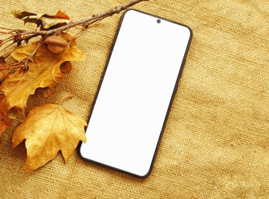 Beyaz ekran maketli akıllı telefon ve arka planda kahverengi sonbahar yaprağı ve palamut. Autumn, sonbahar tebrik kartı veya davetiye şablonu. Metin için boş boşluk