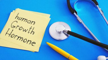 hGH (İnsan büyüme hormonu) bir metin kullanılarak gösterilir
