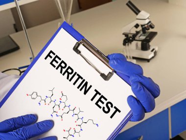 Ferritin testi tıbbi konsept olarak bir metin kullanılarak gösterilir