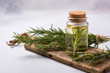 Gri beton arka planda baharatlı gıdalar için zeytinyağı ve taze biberiye içeren cam şişe.