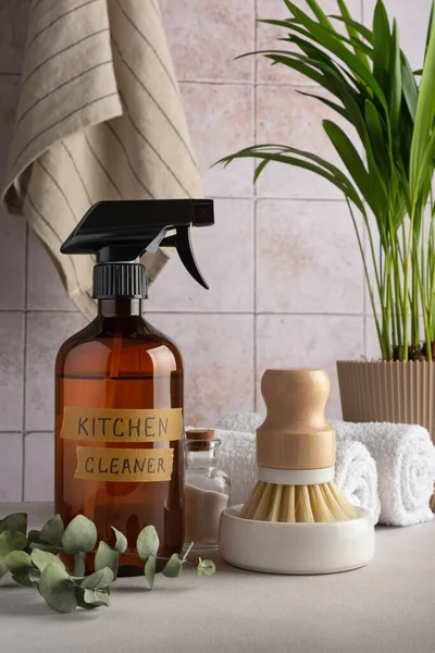 Umweltfreundliches Konzept Nachhaltiger Lebensstil Reinigungs Set Wie Geschirrspülbürste Küchenreiniger Mit — Stockfoto