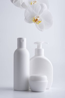 Şablon için beyaz kozmetik şişe grubu ya da gri arka planda beyaz orkide ile modelleme